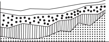 ETL and Data Pipeline Solutions