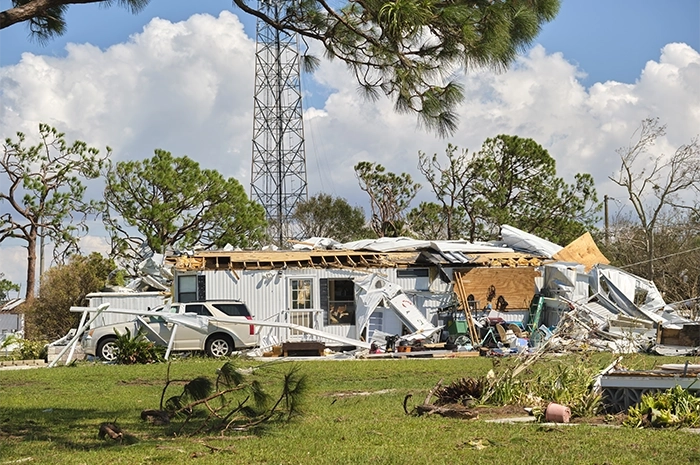 How to Make Buildings That Fight the Wind