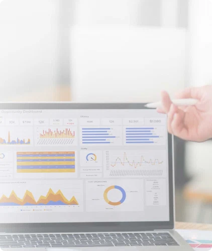 Marketing and Insights