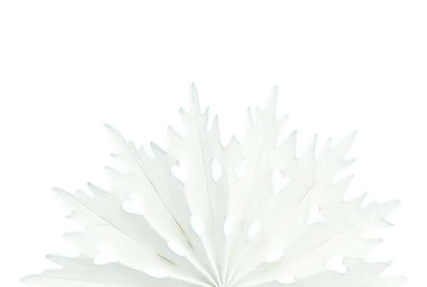 snowflake