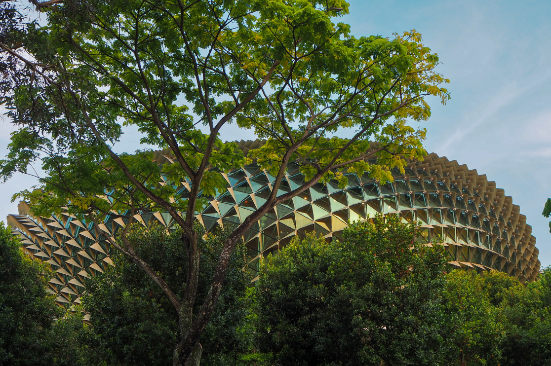 Sustainable Elements In Contemporary Architecture